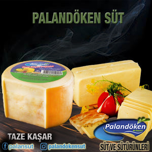 TAZE KAŞAR PEYNİRİ
