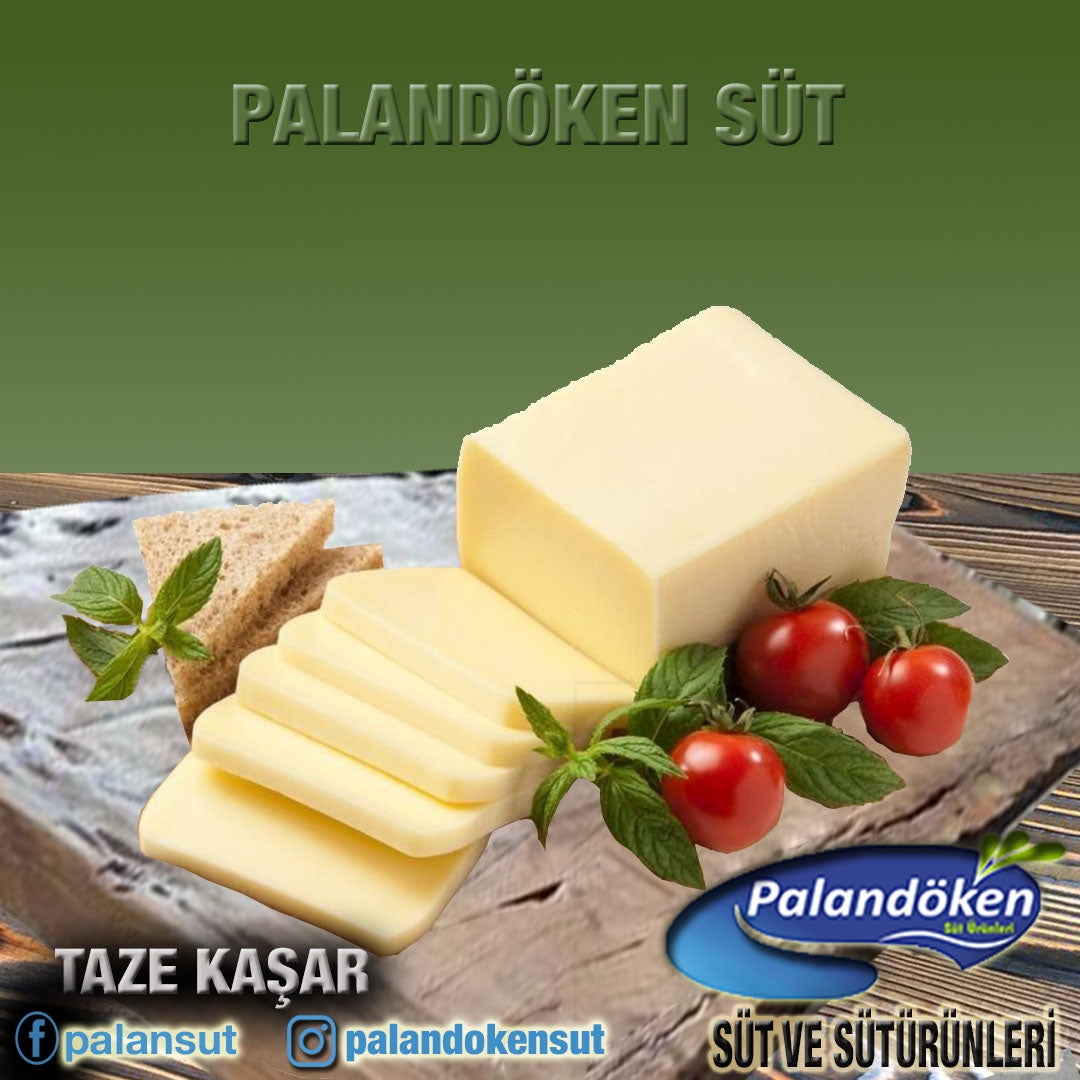 TAZE KAŞAR PEYNİRİ