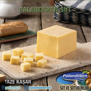 TAZE KAŞAR PEYNİRİ
