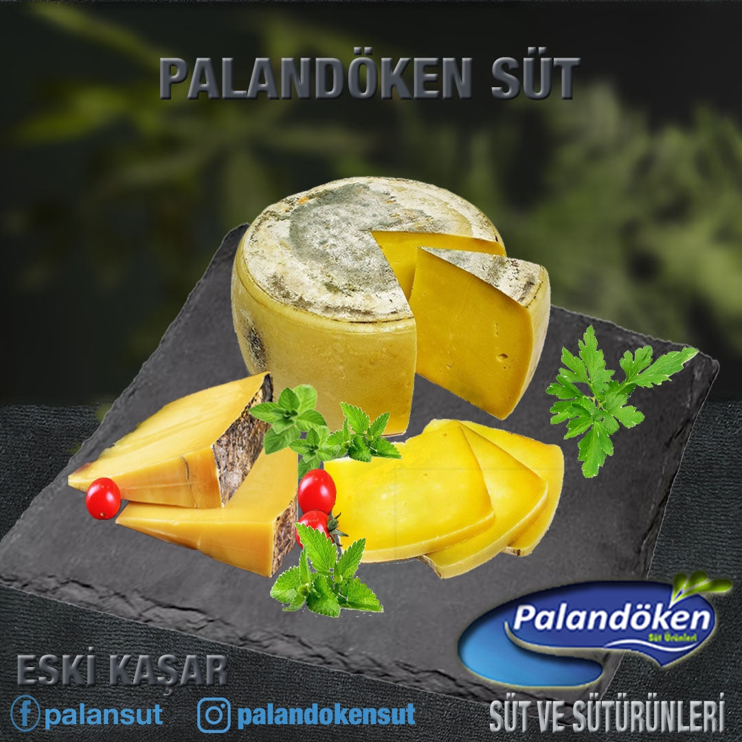 ESKİ KAŞAR