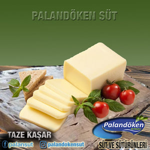 TAZE KAŞAR PEYNİRİ