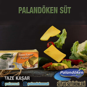 TAZE KAŞAR PEYNİRİ