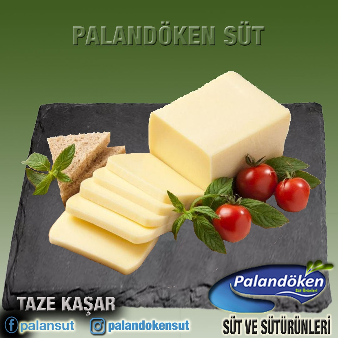 TAZE KAŞAR PEYNİRİ
