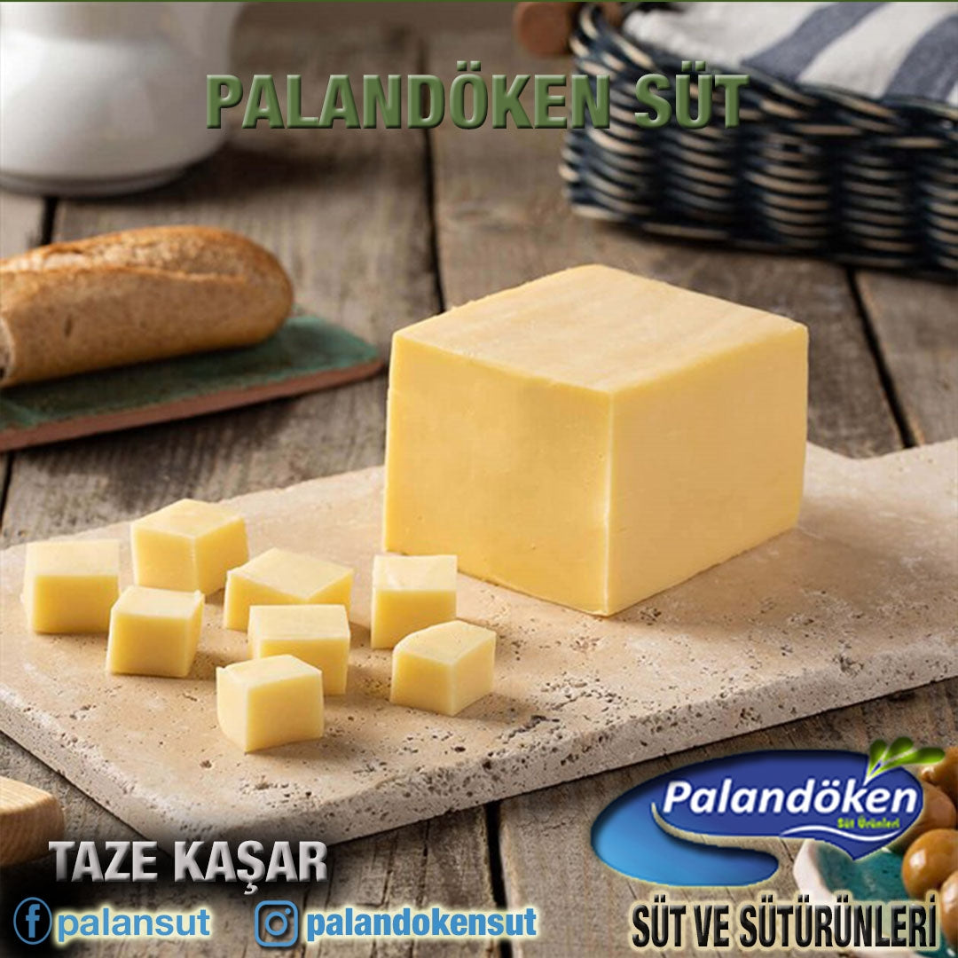 TAZE KAŞAR PEYNİRİ