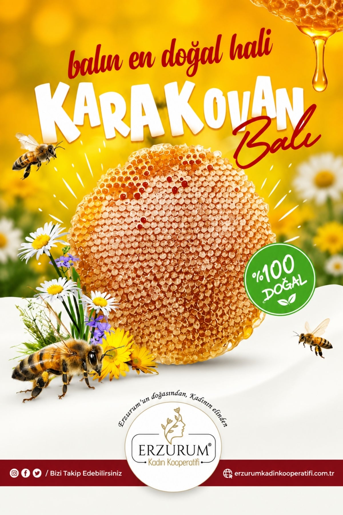ERZURUM KADIN KOOPERATİFİ KARAKOVAN PETEK BAL 1 KG
